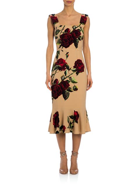 Dolce & Gabbana rose print midi dress